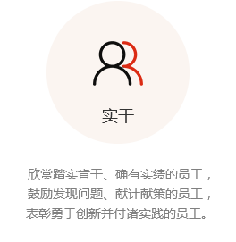 实干